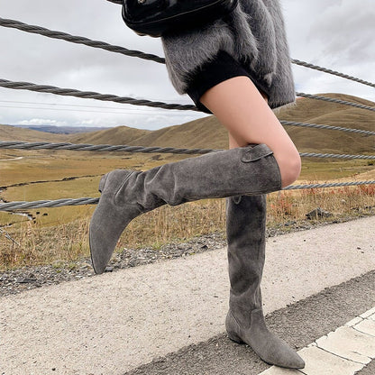 Suede Pointed Toe Western Knee High Cowgirl Boots Vintage Flat Heel Riding Boots for Winter in Black/Grey/Brown